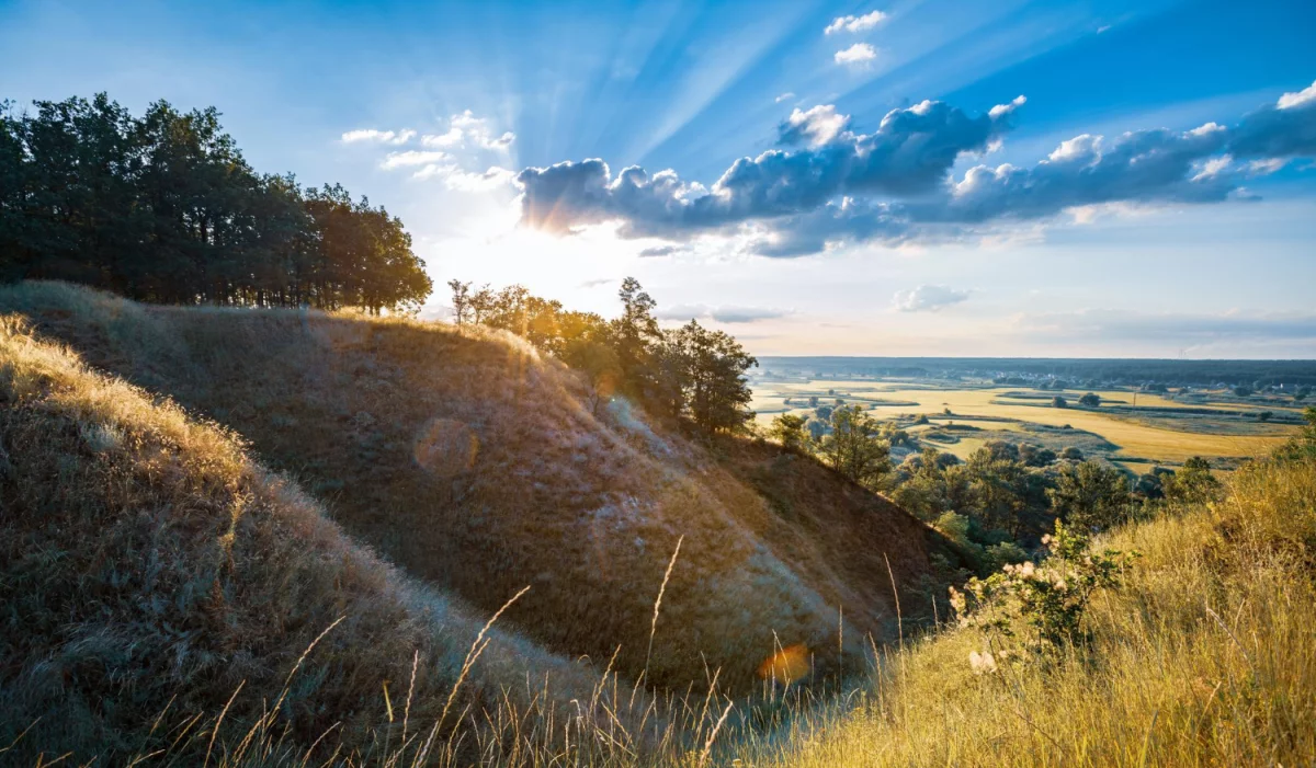 11 Prostych Metod Aby zamontować fotowoltaikę w dolnośląskim