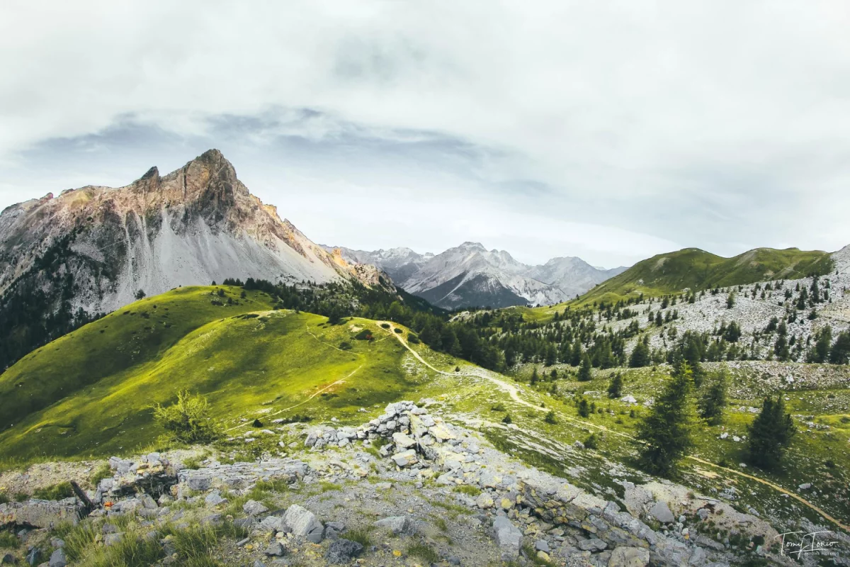 Bardzo Dziwna Ale Skuteczna Metoda Aby wyposażyć dom