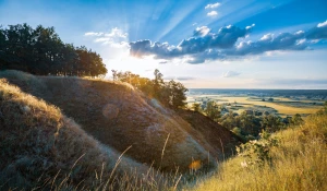 PILNE! Zobacz TYLKO Jeśli Chcesz robić tanie pozycjonowanie