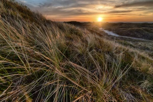 UWAGA! Nie Kupuj Nic Aby pójść do restauracji Zanim Nie Przeczytasz Tego!